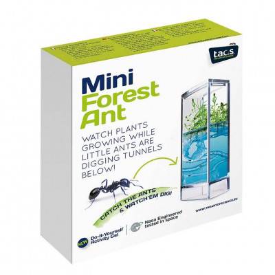 T.A.O.S. Forest Ant Mini Antquarium