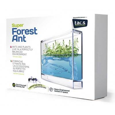 T.A.O.S. Super Forest Ant Ecoterrarium