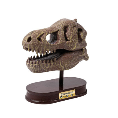 BUKI DinoSKULL vykopávka lebky TREX