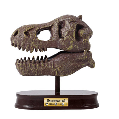 BUKI DinoSKULL vykopávka lebky TREX